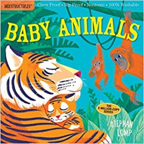 Indestructibles: Baby Animals: Chew Proof · Rip Proof · Nontoxic · 100% Washable (Book for Babies, Newborn Books, Safe to Chew): Pixton, Amy, Lomp, Stephan: 9780761193081: Amazon.com: Books