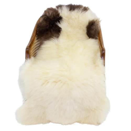 Soft Short Wool Ivory White w Brown Swedish