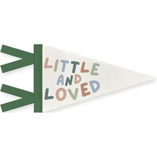 kids Bedroom Playroom Wall Art Felt Pennant Banner,Baby Banner Flag Wall Hanging,Reading Corner Decor for Kids Classroom Bedroom Playroom,8x17 Inch