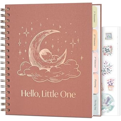 Skyline Pregnancy Planner Journal – Pregnancy Log Book & Keepsake with Prompts, Checklists, Calendars – Spiral-Bound Memory Book for Moms-to-Be, 8.3x9.3” (Dusty Pink)