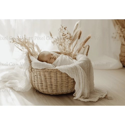 Newborn Photoshoot