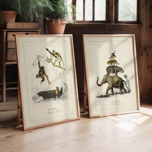 Jungle Theme Animal Wildlife Quirky Vintage Playroom Whimsical Unusual Set 2 Unframed Paper Print