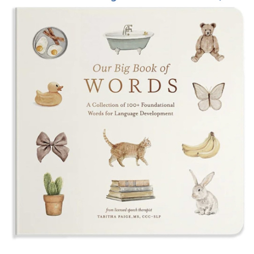 Our Big Book of First Words: A Collection of 100+ Foundational Words for Language Development (Tabitha Paige Children's Book Series)