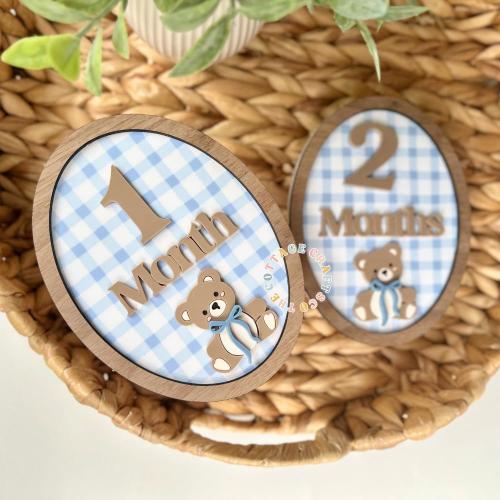 Bear Milestone signs, Birth Announcement, Name Sign,Hi My Name Is,Newborn Photo Prop, Baby Boy Birth Sign, Teddy Bear Baby Sign,