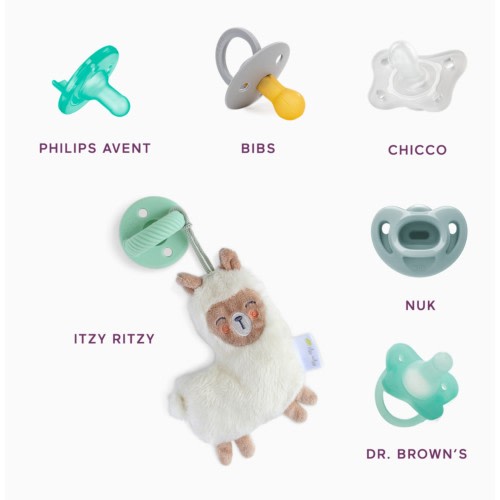 Babylist Pacifier Box