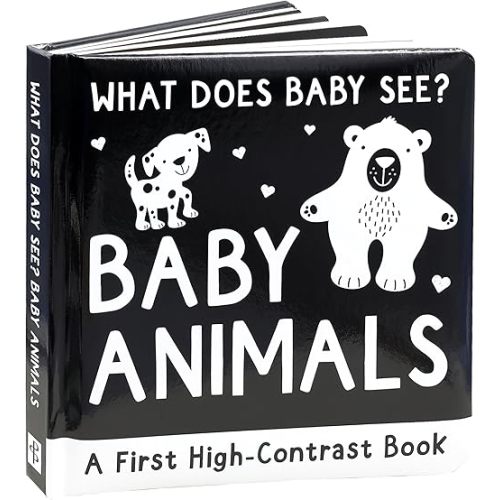 What Does Baby See?