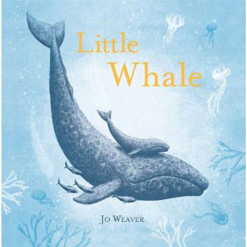 Little Whale - by Jo Weaver (Hardcover)