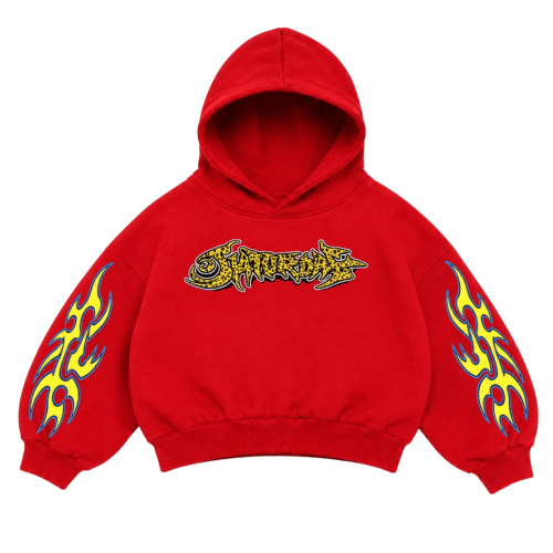 Burned CD Hoodie (KIDS) – Saturday School