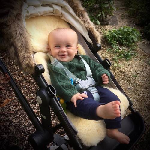 Baby Sheepskin Pushchair Liners