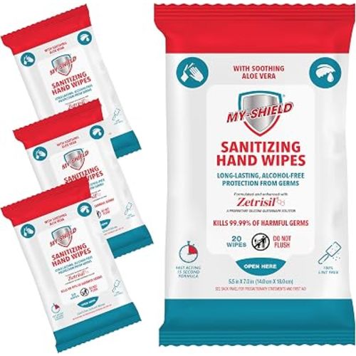 Sanitizing Hand Wipes - Travel Pack - 20 Count (4-pack) Alcohol-Free, Long-lasting Protection. Kills 99.9% of Germs. Moisturizes With Aloe Vera. Formulated with Zetrisil.
