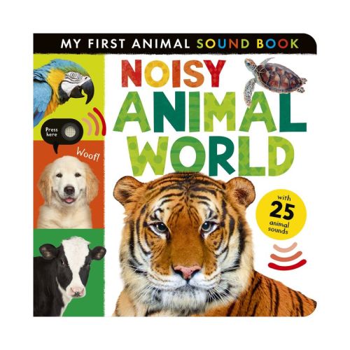 Noisy Animal World - (My First) by Hettie Cox (Board Book)