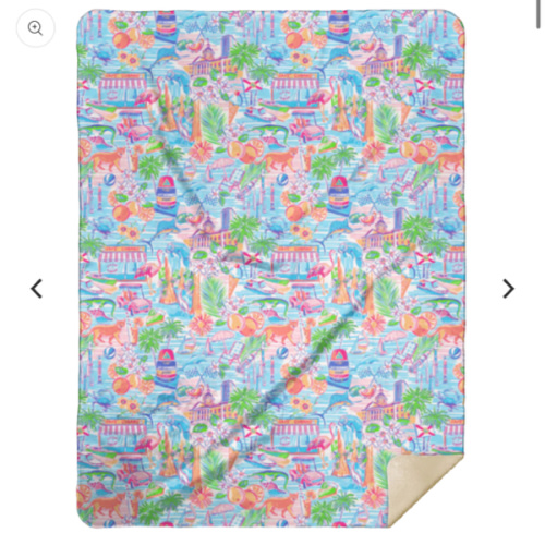 Florida (South) Plush Throw Blanket 60x80 - Little Hometown
