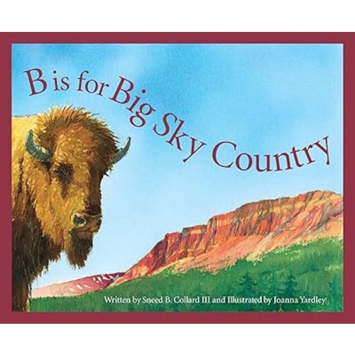 B is for Big Sky Country: A Montana Alphabet (Discover America State by State)