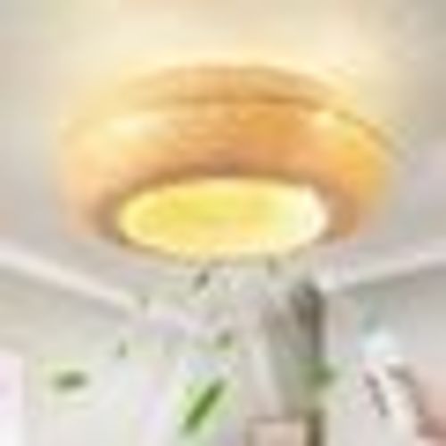 Nihar 20" Boho Rattan Caged Ceiling Fan with Lights 6.5 H x 20.0 W x 19.68 D in brown/yellow