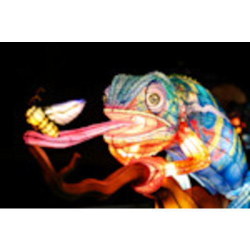 Membership | Brookfield Zoo Chicago