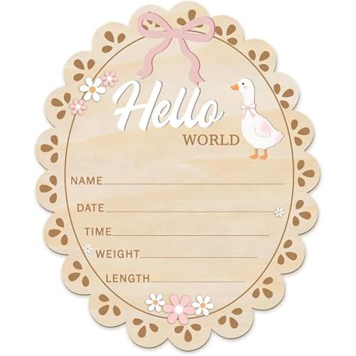 Baby Announcement Sign, Hello World Newborn Sign, Wooden Birth Sign Goose