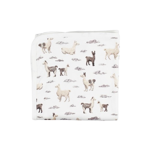 Organic Cotton Baby Blanket