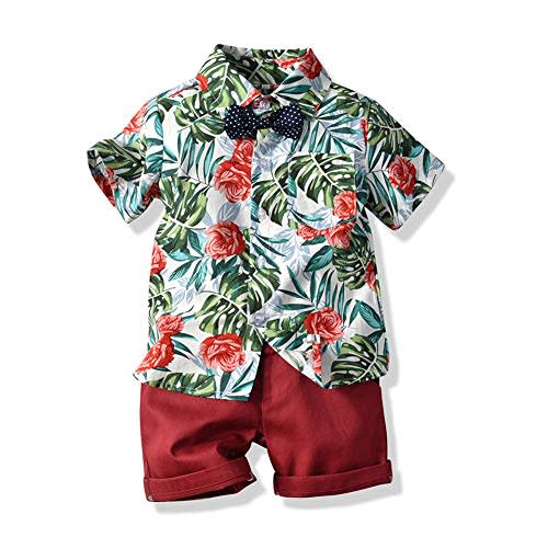 JunNeng Toddler Baby Boy Shorts Sets Hawaiian Outfits,Summmer Hawaiian Shirt+ Elastic Shorts Vacation Clothes