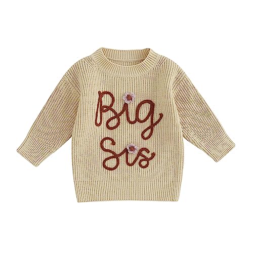 Toddler Baby Girl Boy Long Sleeve Knit Sweater Brothers Sisters Letter Embroidery Round Neck Pullover Fall Winter Tops