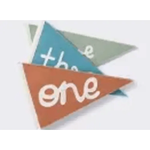 Milestone Felt Pennants - Multi Color - Cloud Island - Google Search