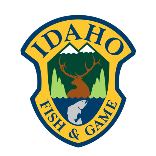 Lifetime Hunting/Fishing License