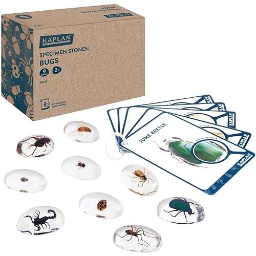 Kaplan Early Learning Specimen Stones: Bugs | 9 Piece Science Set for Toddlers Kids - Wasp, Bee, Butterfly, Ladybeetle, Scorpion, Cricket, Pill Bug, June Beetle & Spider
