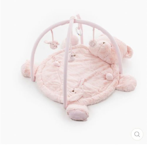 Bear Playmat & Gym - Pink