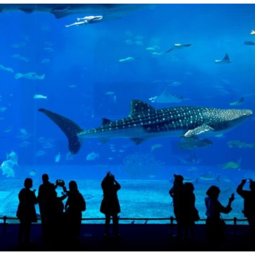 National Aquarium - Membership