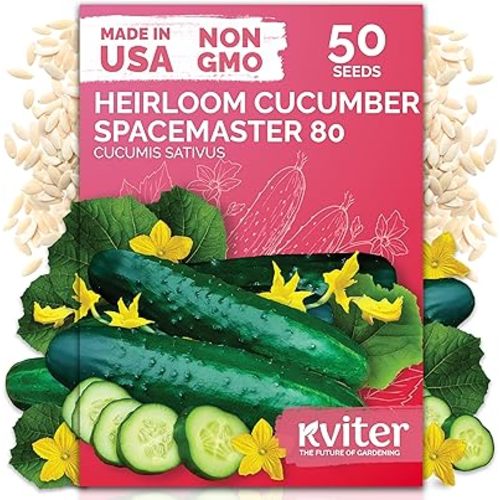 KVITER 50 Spacemaster 80 Cucumber Seeds (Cucumis sativus) - Compact Space Master Cucumber Organic Seed Packets, Pickling & Slicing Cucumbers - Vegetable Seeds for Planting in Small Garden & Containers
