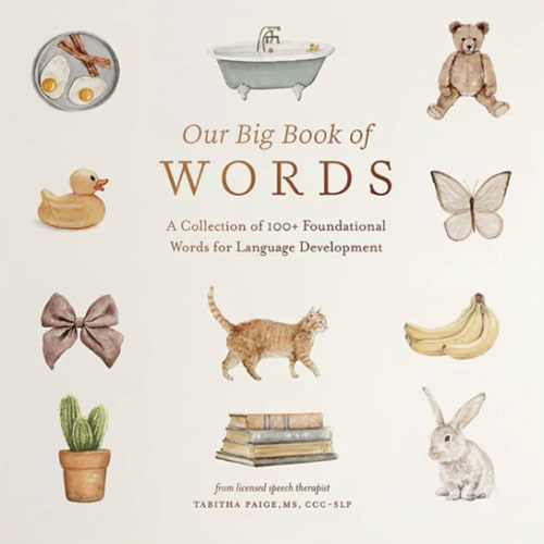 Our Big Book of First Words: A Collection of 100+ Foundational Words for Language Development (Tabitha Paige Children's Book Series)