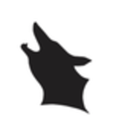 Adjustable Ergo Baby Carrier Sling Pouch for Women – Wolph