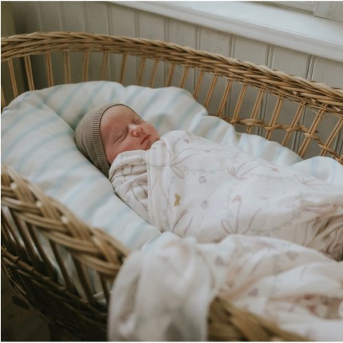 Bows & Butterfly Kisses Swaddle - Pink