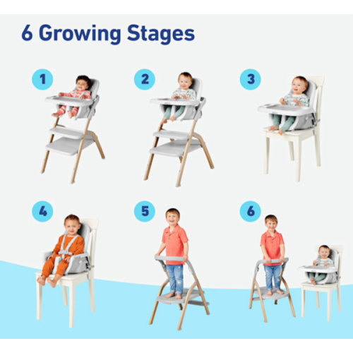 Highchair 6 in 1 (Misty)