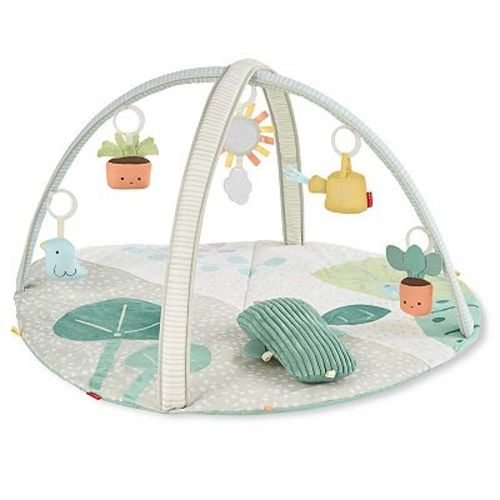 Skip Hop Garden Oasis Activity Gym