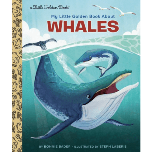 My Little Golden Book About Whales by Bonnie Bader, Steph Laberis, Hardcover | Barnes & Noble®