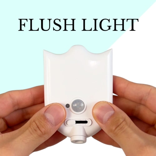 The Flush Light™