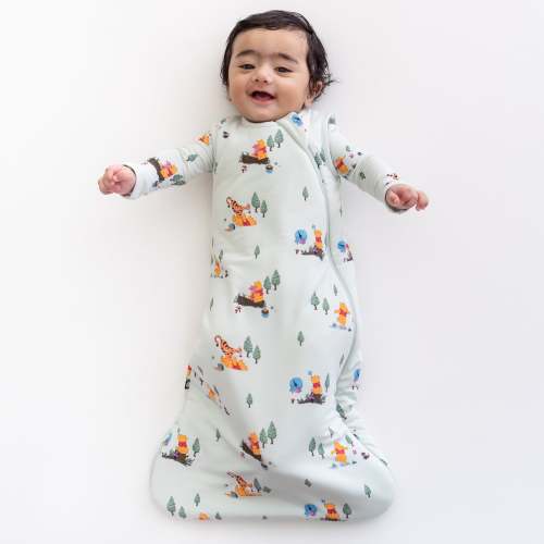 Sleep Bag in Winnie the Pooh Hundred Acre Wood 1.0