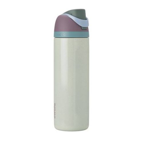 Owala FreeSip Stainless Steel Water Bottle