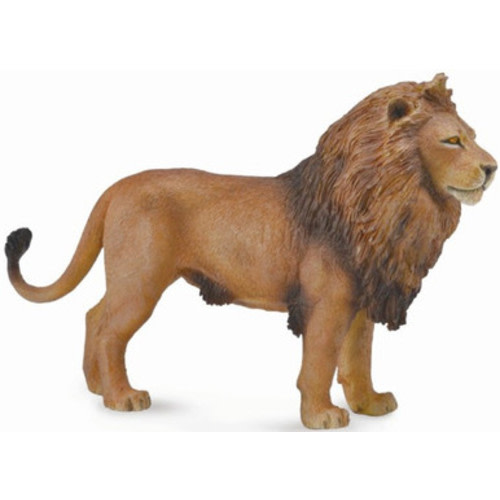 CollectA African Lion #88782 - Majestic, Regal Pose