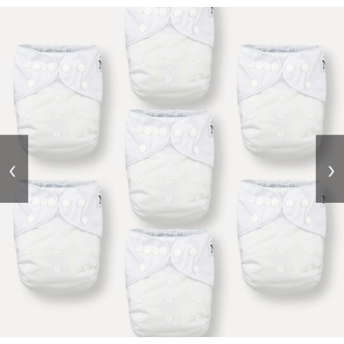 Winter White - 7 Pack