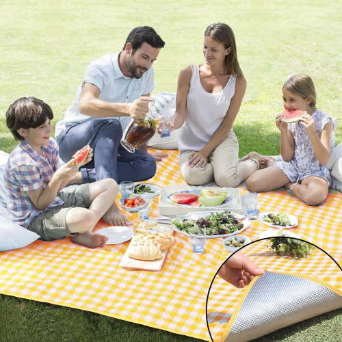 Large Picnic Blankets,Teencool Thick Waterproof Blanket Sandproof Beach Blanket,Outdoor Blanket for Travel Camping Mat 60"x80