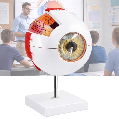 Eye Anatomy Model, 6X Enlarged Eyeball Model with Removable Stand | Human Eye Anatomical Model, 7-Part Detachable Design, Non-Toxic PVC, for Science Education, Study Display & Medical Teaching