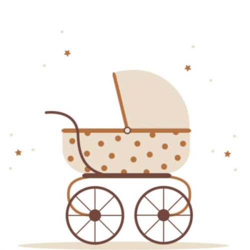 Stroller & Car Seat- Cash Fund