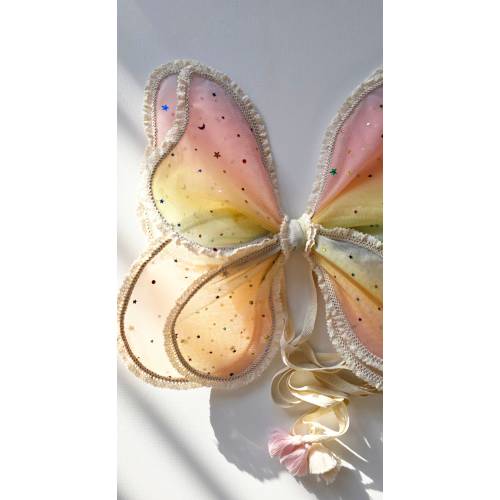 Rainbow Wings, Flower Fairy wings, Butterfly costume for kids, costume wings, Tinkerbell