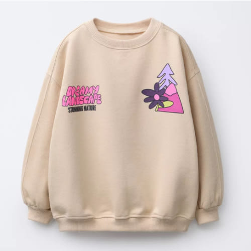 MOUNTAIN PRINT SWEATSHIRT - Light beige | ZARA United States