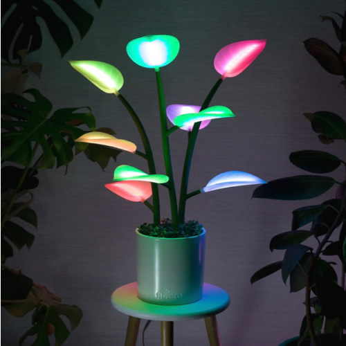 Fluora Mini | Dynamic Smart Light | Elevated Mood Lighting | Fluora
