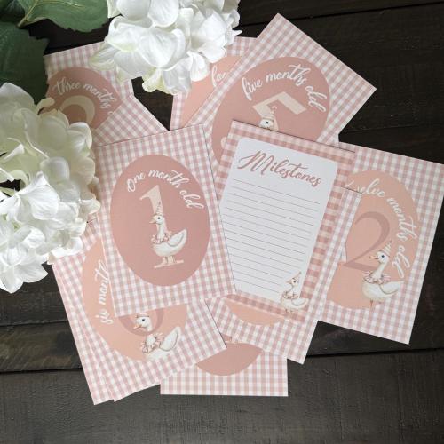 Baby Girl Milestone Cards: Pink Gingham Goose Photo Cards