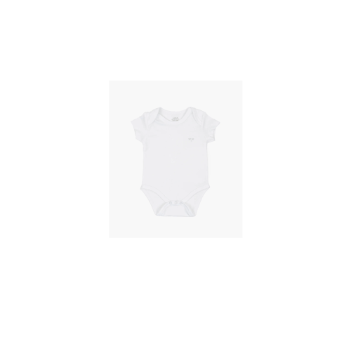 Short Sleeve Body