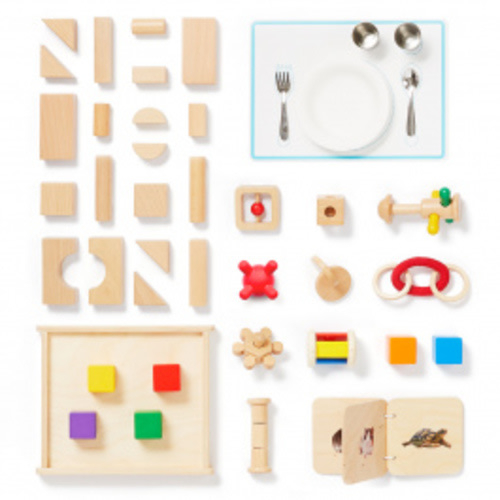 Shop Montessori Toys: Level 2 Subscription Box for Babies | Monti Kids