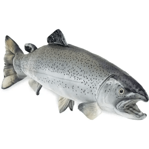 Real Planet Fishing Stuffed Animal - Sockeye Salmon Trout Bass Plush Stuffed Toy for Kids, Fishing Gifts for Men, Plush Freshwater Fish Toy (Silver Trout, 14") (14.25" Long)